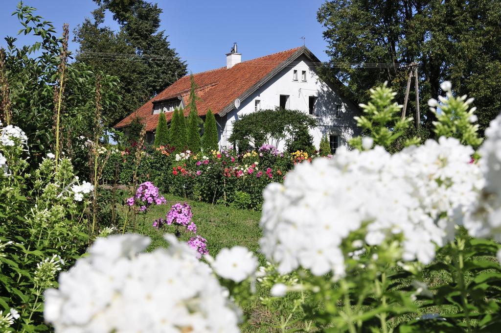 Agroturystyka Orzechowe Wzgorze Orzechowo  Dış mekan fotoğraf