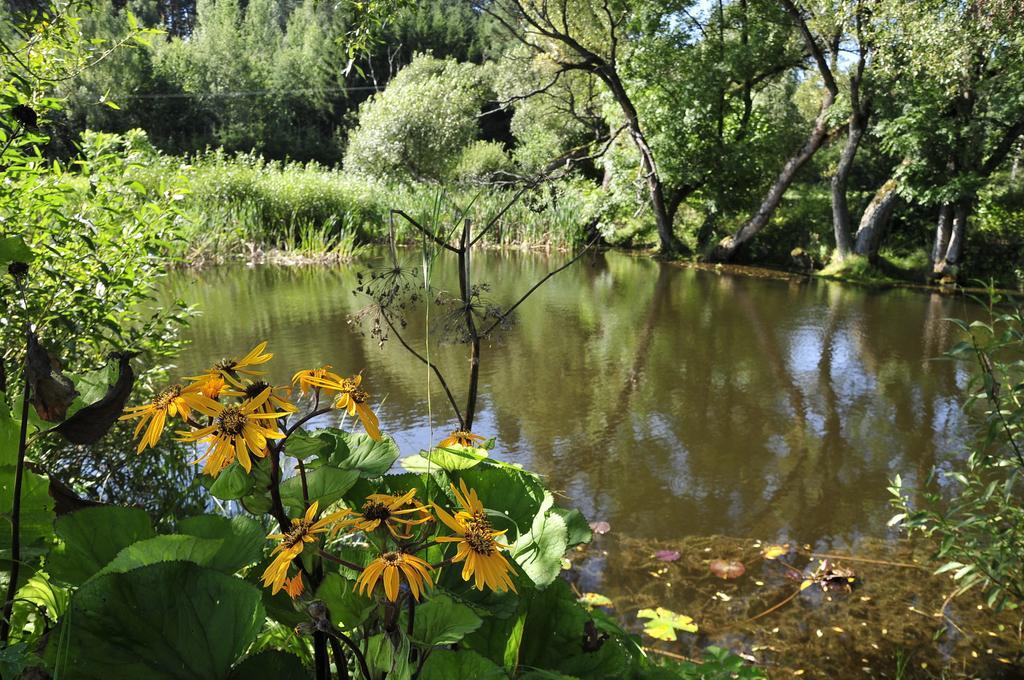 Agroturystyka Orzechowe Wzgorze Orzechowo  Dış mekan fotoğraf