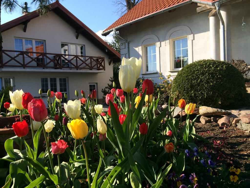 Agroturystyka Orzechowe Wzgorze Orzechowo  Dış mekan fotoğraf