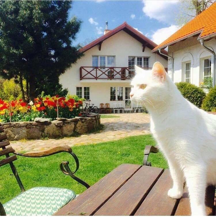 Agroturystyka Orzechowe Wzgorze Orzechowo  Dış mekan fotoğraf